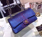 2015 Chanel 2.55 Series Flap Bag Python Leather A1112 Blue&Red with Gold A1112