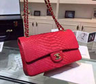 2015 Chanel 2.55 Series Flap Bag Python Leather A1112 Red with Gold A1112