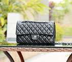 2015 Chanel Classic Flap Bag Apricot Sheepskin leather A37586 Silver A37586