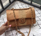 2016 Chanel 2.55 Series Flap Bag Real Python Leather 1112 Apricot with Gold 1112