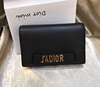 2017 Dior JA DIOR WALLET ON CHAIN POUCH IN Original CALFSKIN leather