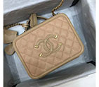 2019 Chanel Large Vanity Case A93344