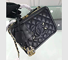 2019 Chanel Medium Vanity Case A93343