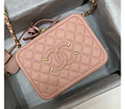 2019 Chanel Small Vanity Case A93342