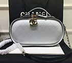 2019 Chanel VANITY CASE AS0199