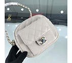 2019 Chanel camera case AS0005