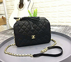 2019 Chanel camera case AS0001