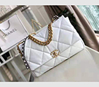 2020 Chanel 19 flap bag AS1162