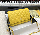 2020 Chanel WOC A33814 Mini Flap Bag A33814