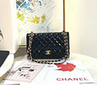 2020 Chanel classic Flap bag 1112
