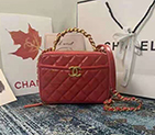 2020 Chanel vanity case AS2179