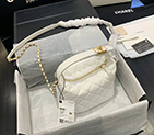 2020 chanel Medium hobo bag AS1746