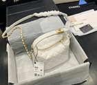 2020 chanel Small hobo bag AS1745