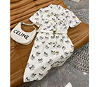 2021 Celine Clothes