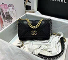 2021 Chanel 19 WOC Mini Flap Bag A33814