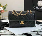 2021 Chanel Flap bag A99029