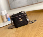 2022 Chanel Small Vanity With Chanin A81193