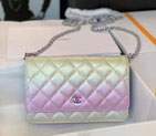 2022 Chanel Wallet On Chain AP2543