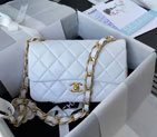 2022 Chanel classic Flap bag 1112