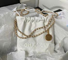 2023 Chanel 22 Mini Handbag AS3980