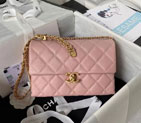2023 Chanel Flap Bag AS3994