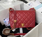 2023 Chanel Flap Bag AS4353