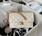 2023 Chanel Flap Bag AS3994