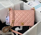 2023 Chanel Flap Bag AS4353