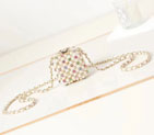 2023 Chanel MINI EVENING BAG AS3769
