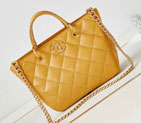 2023 Chanel Shoulder Bag AS4188