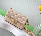 2024 Chanel FLAP BAG AS5174