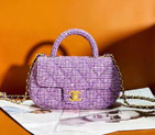 2024 Chanel SMALL BAG WITH TOP HANDLE AS4573