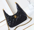 2024 Chanel hobo bag AS4966