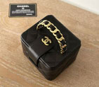 2025 Chanel COSMETIC BAG A2227