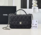 2025 Chanel MINI FLAP BAG WITH TOP HANDLE AP4401