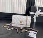 2025 Chanel WALLET ON CHAIN AP4300