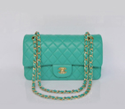 Chanel 2.55 Classic Flap Bag lake Green Sheepskin Leather Gold 1112