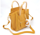 Celine Luggage small Fashion Bag Yellow