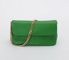 Celine Gourmette Small Bag in Ferrari Leather Green