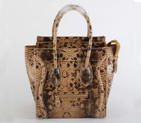 Celine Luggage Bags Medium in Snake Veins Apricot
