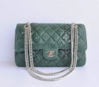 Chanel Green Snakeskin Leather Flap Bag Silver Hardware 1112