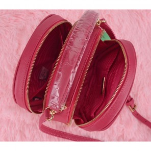 2014 Prada BUCKET BAG BN2267 in Rose