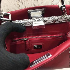2018 Fendi PEEKABOO handbag