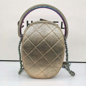 2019 Chanel Camera Case