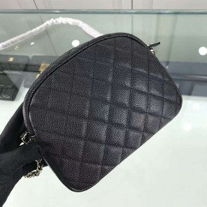 2019 Chanel camera case