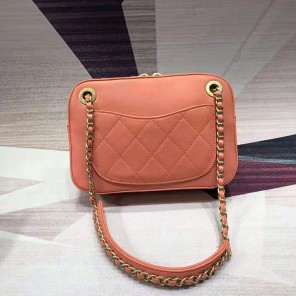 2019 Chanel camera case