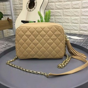 2019 Chanel camera case