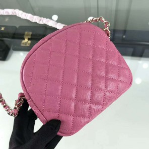 2019 Chanel camera case