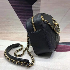 2019 Chanel camera case