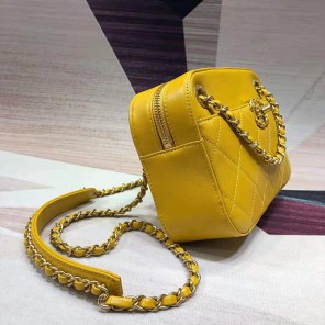 2019 Chanel camera case